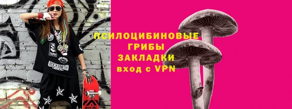 гидра Верхний Тагил