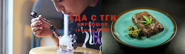гидра Верхний Тагил