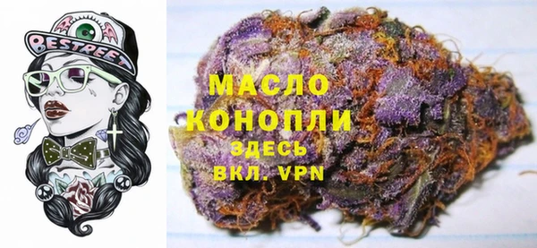 гидра Верхний Тагил