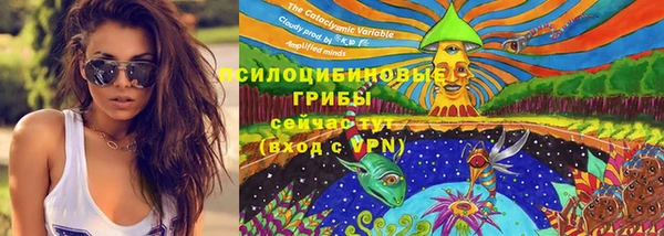 гидра Верхний Тагил