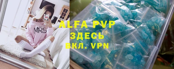 гидра Верхний Тагил