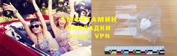 гидра Верхний Тагил