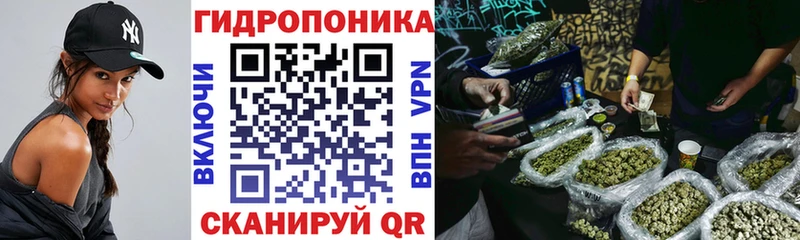 Канабис ГИДРОПОН  Купить где  Аткарск 